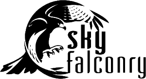 Sky_Falconry_logo